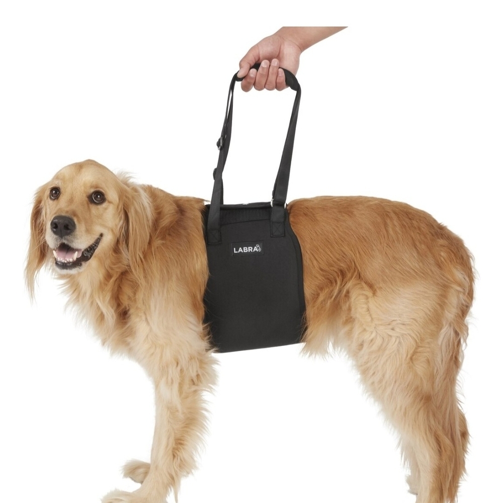 Dog Lift Sling Support Harness